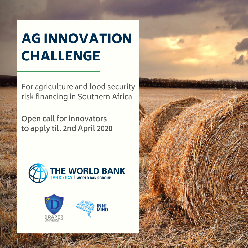 The World Bank Ag Observatory cooperated with InnMind to scout startups for an agritech sector in Southern Africa